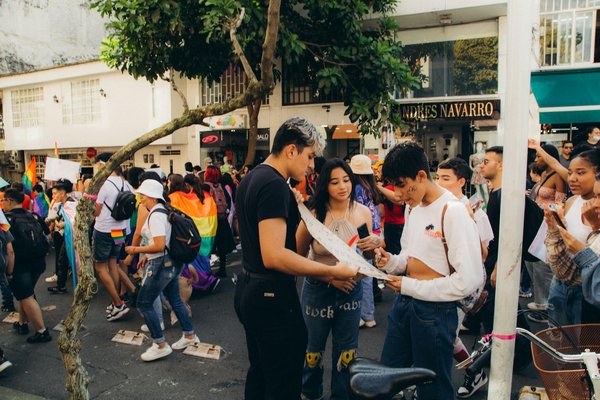 Location sapin de noël artificiel pour événements