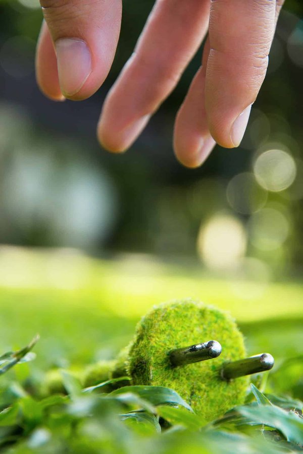 Énergie verte et maisons : comment la France s'adapte aux énergies renouvelables