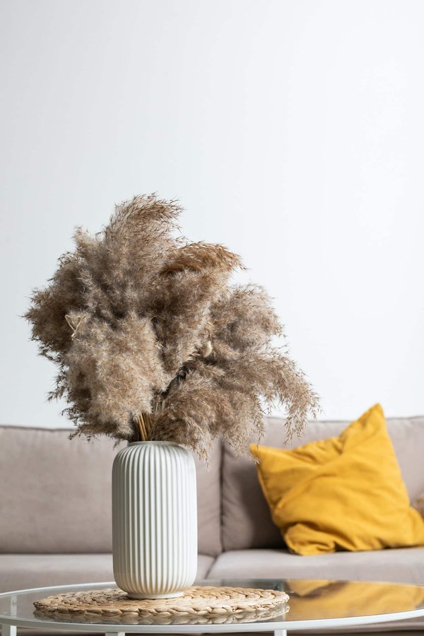 Pourquoi la pampa est une décoration d'intérieur tendance?