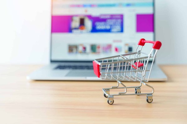 La sécurité des sites e-commerce : enjeux et solutions.