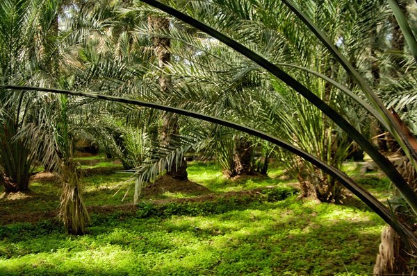 Quels sont les campings près de Lyon adaptés aux groupes ou événements ?